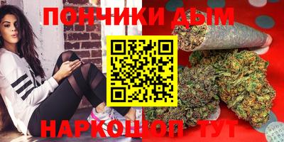 прущие грибы Будённовск