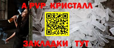 прущие грибы Будённовск