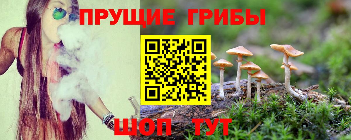 Галлюциногенные грибы мицелий  Вход с VPN  Рославль 