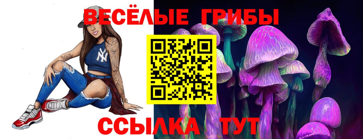 Псилоцибиновые грибы Cubensis Рославль